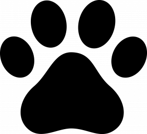 image of a paw graphic